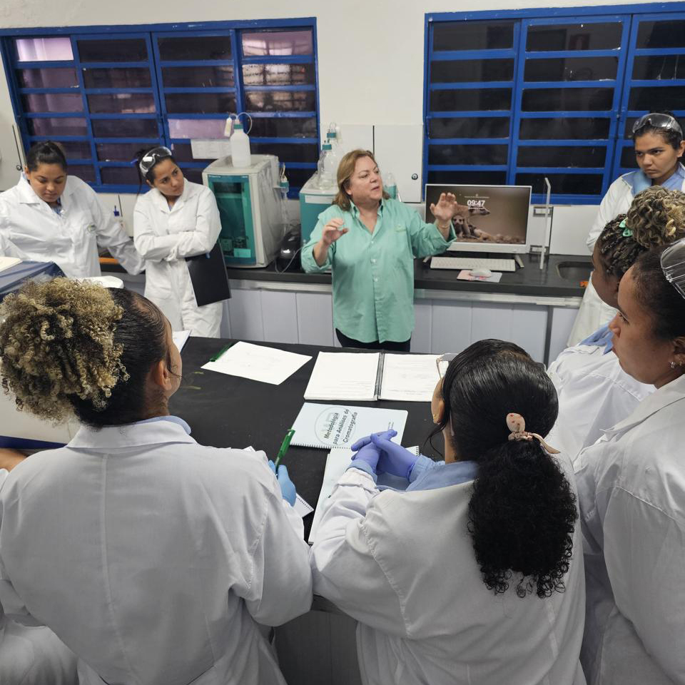 Imagem do WhatsApp de 2025-08-06 à(s) 09.05.48_dd771b45