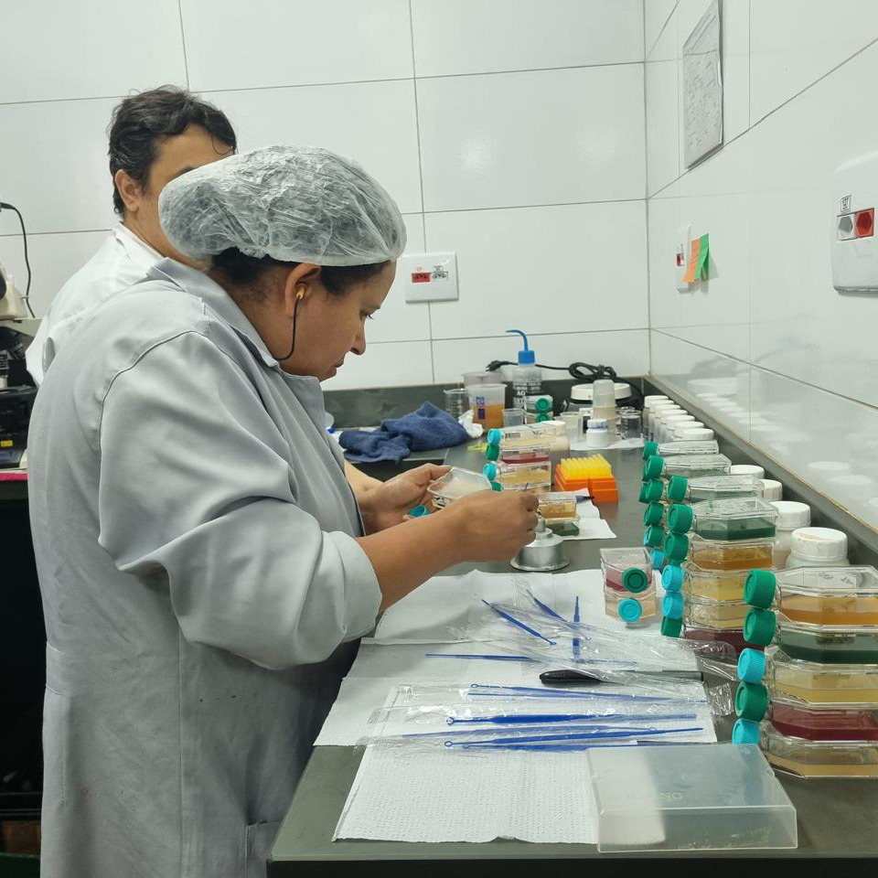 Imagem do WhatsApp de 2025-08-06 à(s) 09.05.49_e9ff3c9b